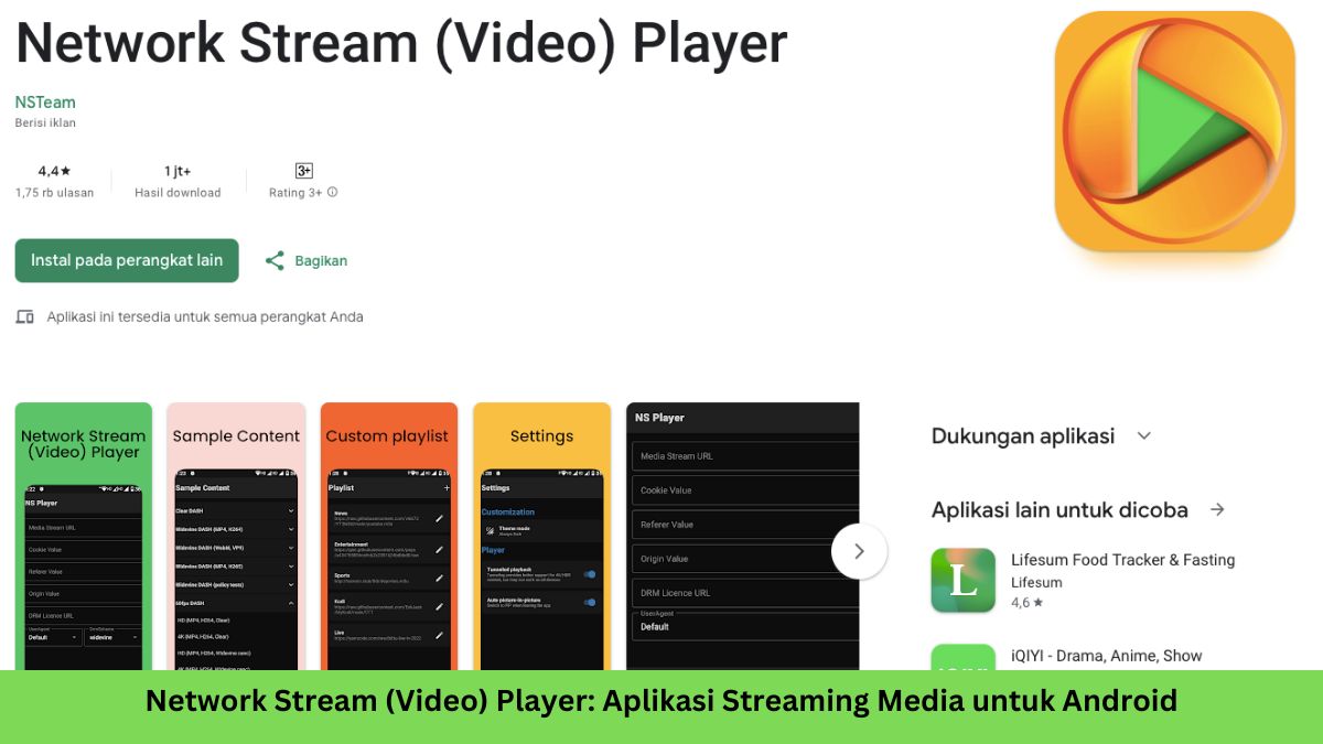 Network Stream (Video) Playe
